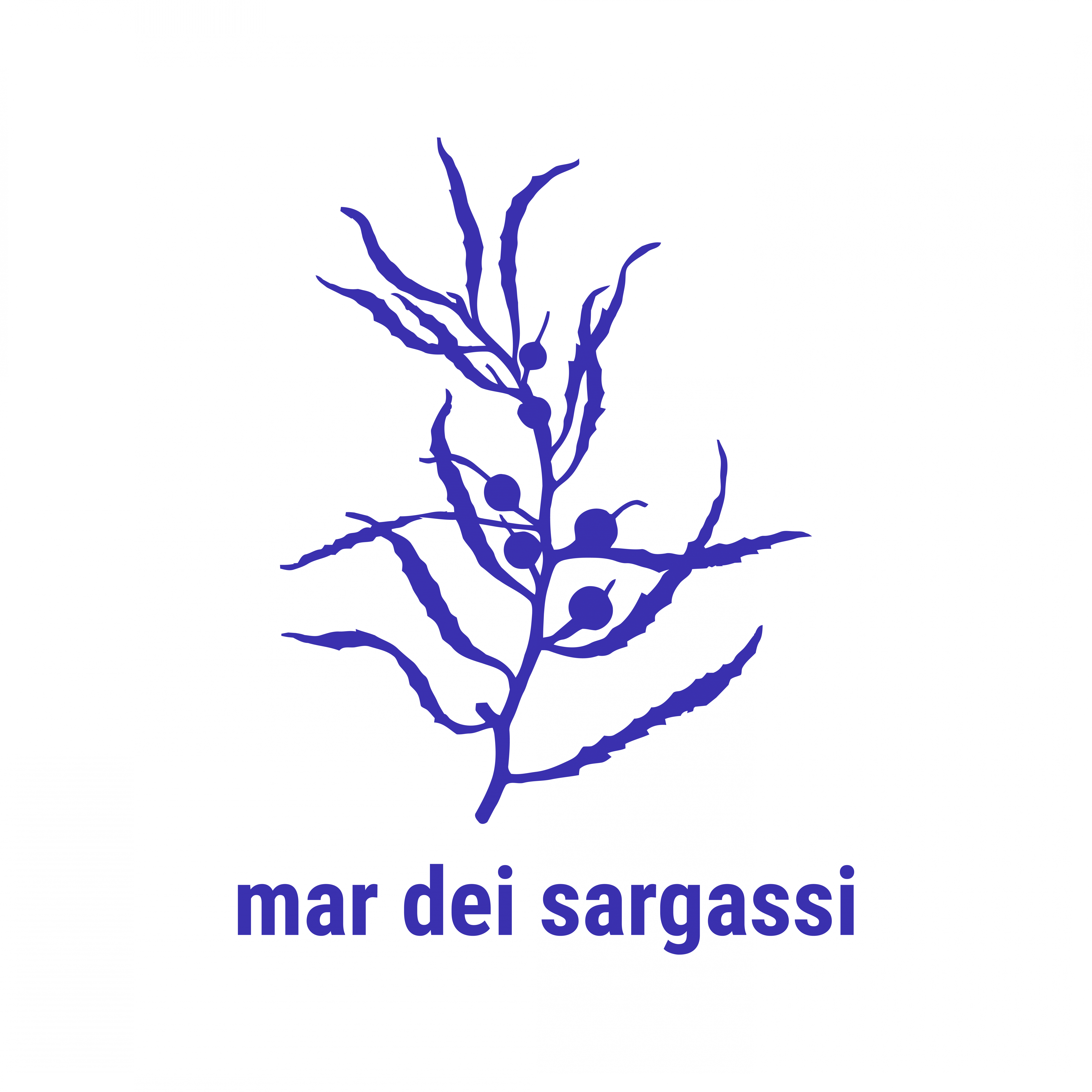 MAR DEI SARGASSI EDIZIONI