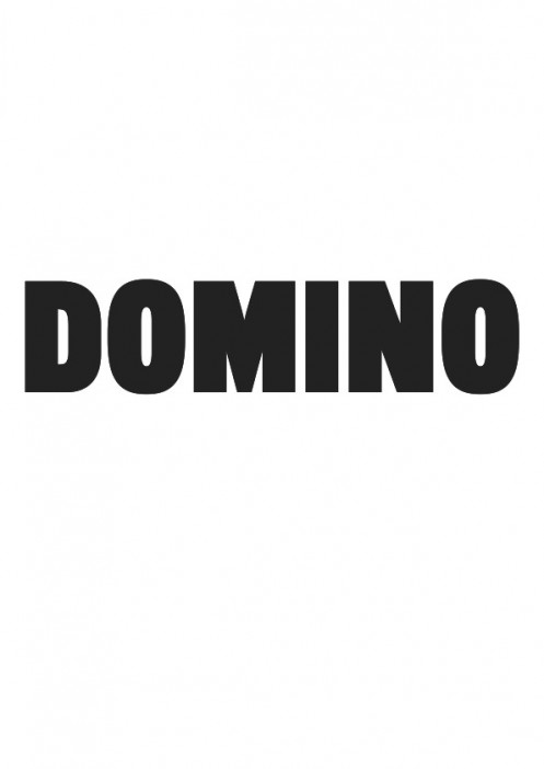 DOMINO. RIVISTA SUL MONDO CHE CAMBIA